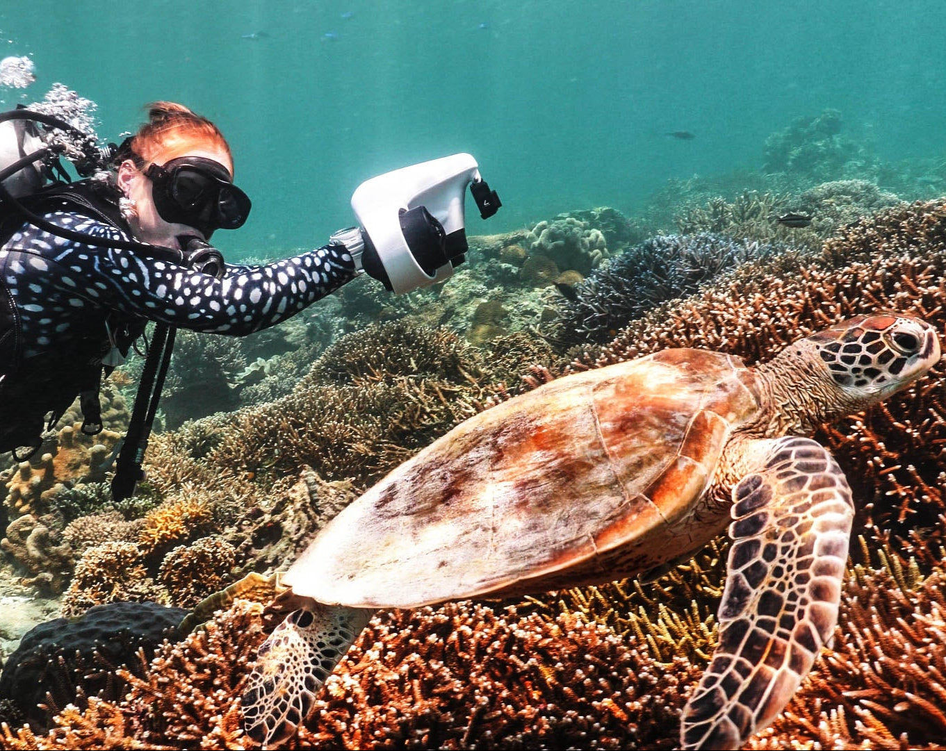 ASIWO Manta Sea Scooter - 40M Underwater Scooter with 3-Speed Compatible with Camera