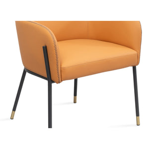 Whiteline Modern Living Heidi Dining Armchair