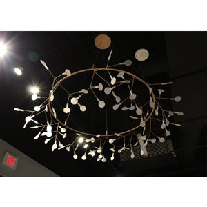 Whiteline Modern Living Zully Pendant Lamp