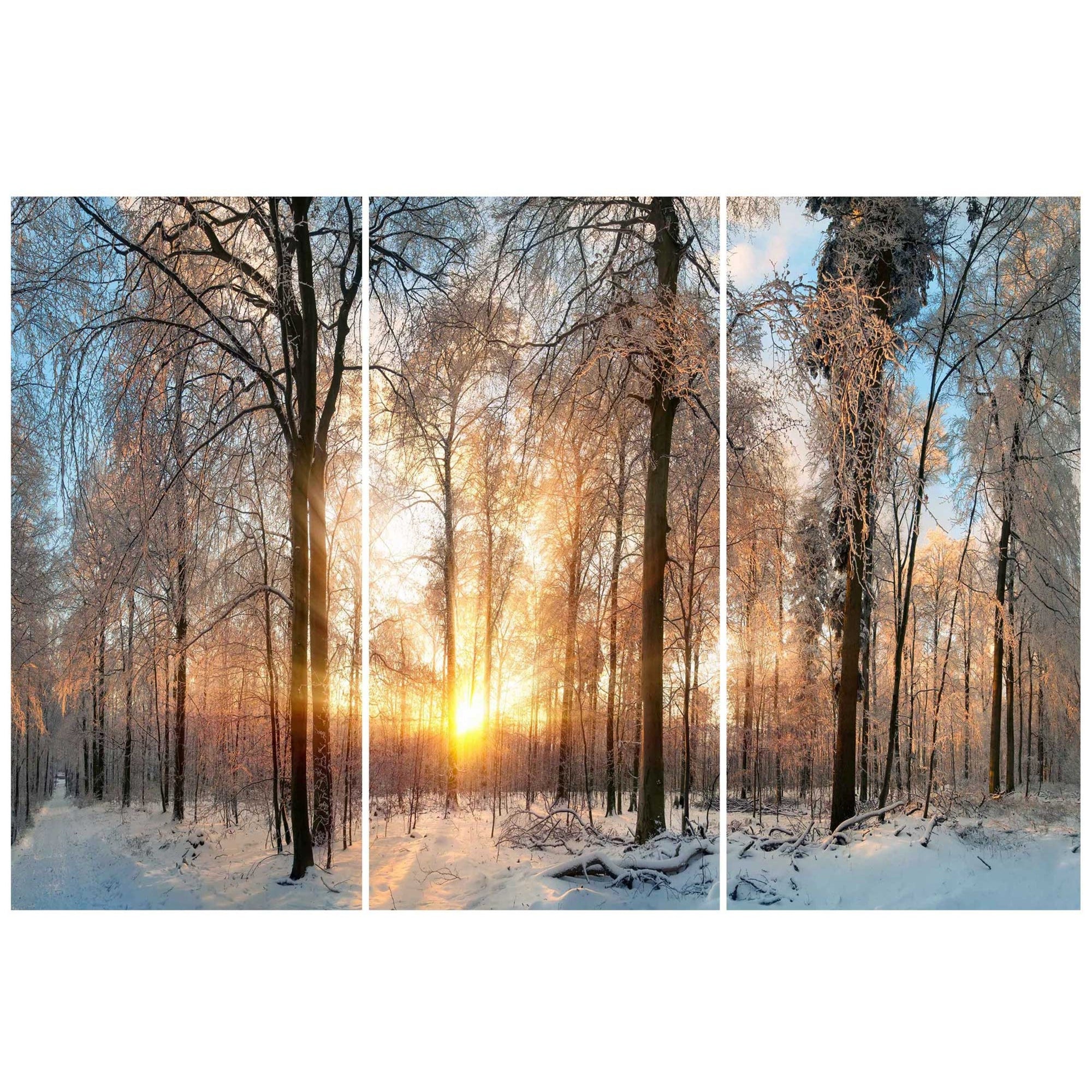 Whiteline Modern Living Winter Artwork